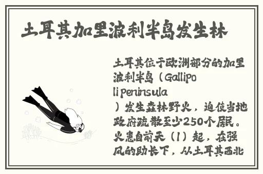 精品视频一区二区三区四区戚薇